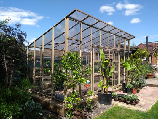 The Elite Edge 800 Greenhouse - 8ft wide