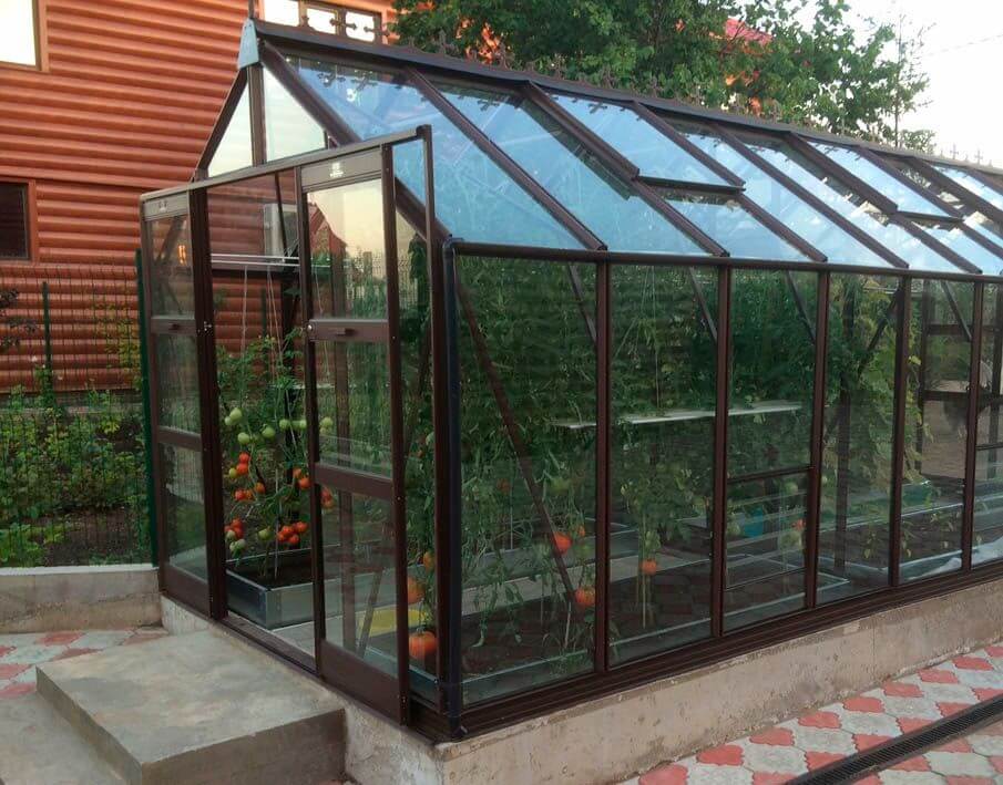 PACKAGE Elite Titan 800 Greenhouse - 8ft wide