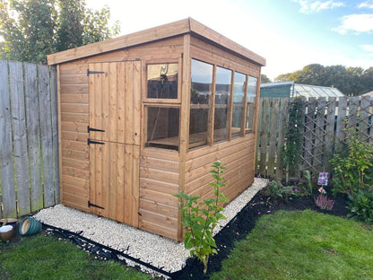 Sunflower Shed