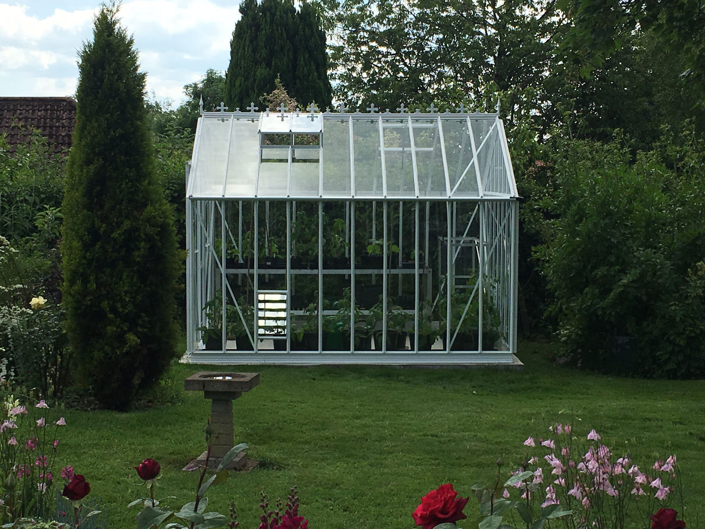 Elite Thyme Greenhouse - 8ft wide