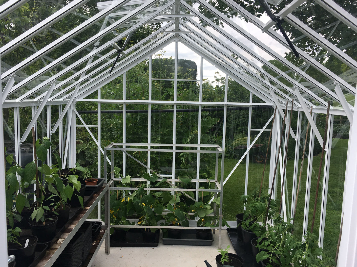 Elite Thyme Greenhouse - 8ft wide