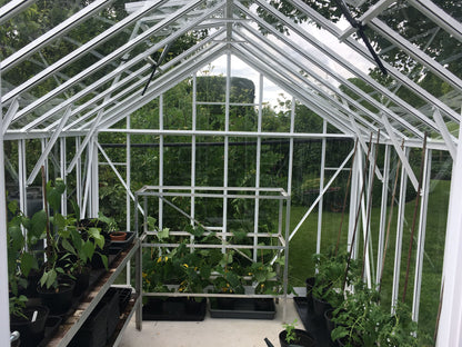 Elite Thyme Greenhouse - 8ft wide