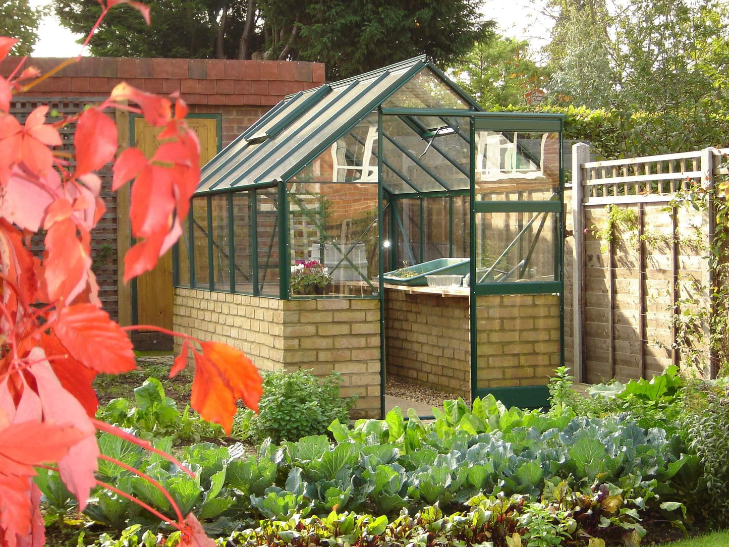 Elite Featured Dwarf Wall Greenhouse - 6ft wide